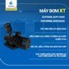 Bơm đẩy nước hồ cá XT DCP 5000,15000, 20000, 30000 (24V) chống giật, siêu tiết kiệm