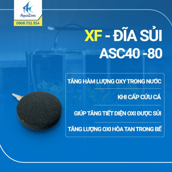 Đĩa Sủi Bể Cá ASC siêu mịn 40 60 80
