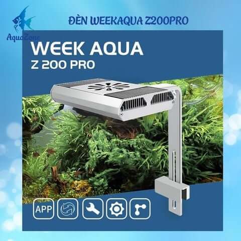 Đèn thủy sinh Week Aqua Z200 Pro 70w thế hệ mới (Dùng App, bản nâng cấp của Z200 RGB)