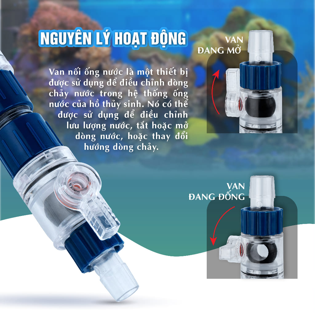 vn-11134207-7qukw-ljcncdbxit5876 ảnh chi tiết Van khóa đôi Marine 4