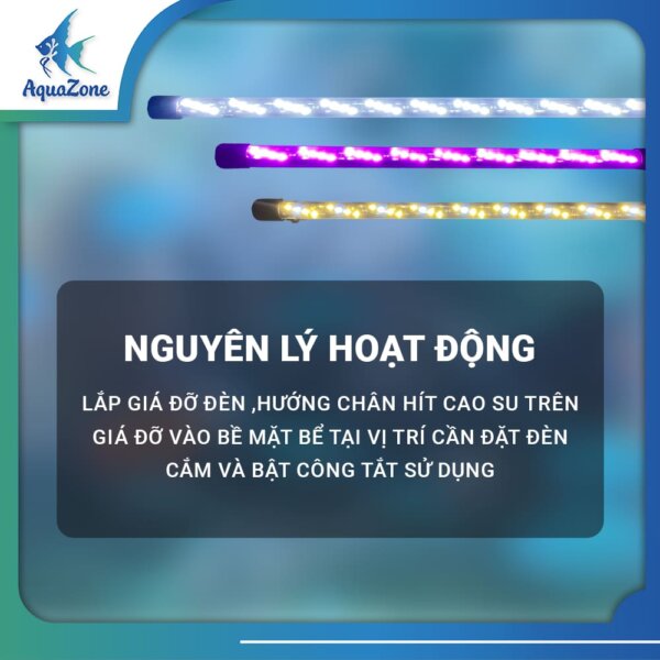 ảnh đại diện Đèn led tròn xml 4 hàng bóng 6