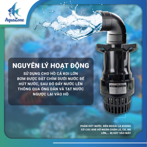 ảnh chi tiết Bơm Tạt Nước Hồ Cá XT 2