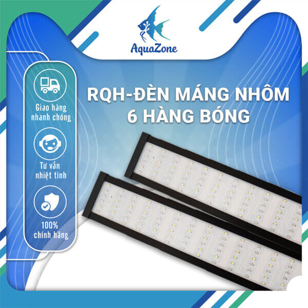 Đèn Thủy Sinh WRGB RQH 6 hàng bóng siêu sáng B45 B120
