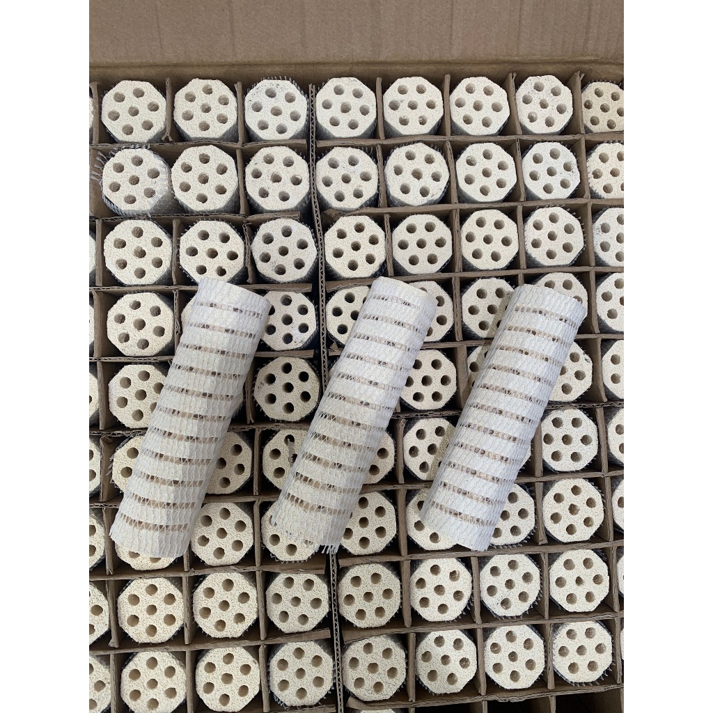 vn-11134207-7r98o-lplrt19ujr8v28 ảnh chi tiết thanh sứ lọc nước bể cá MBIO 2