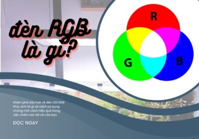 ảnh đại diện đèn led rgb