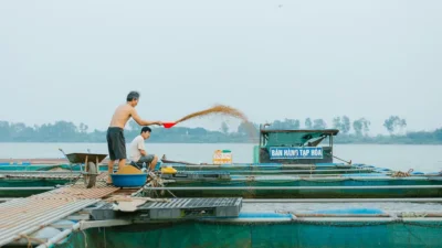 Bể cá 30cm nhỏ gọn