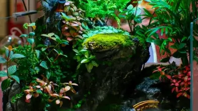 Đèn LED chiếu sáng bể cá thủy sinh